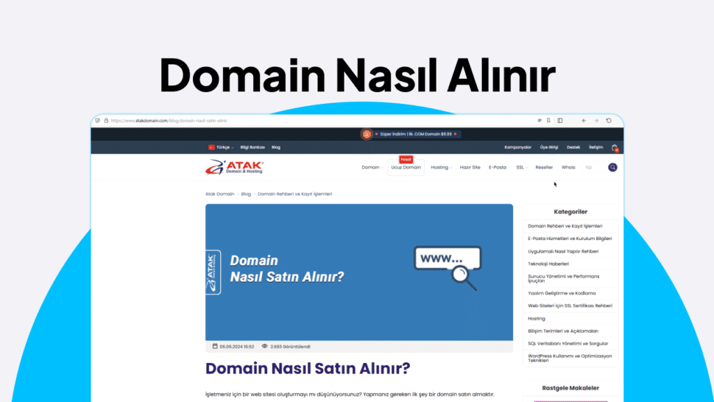 Domain Nasıl Alınır
